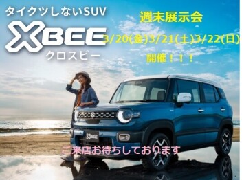 週末展示会のご案内！！